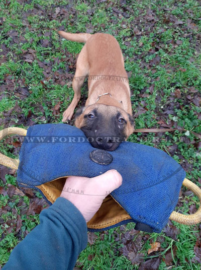 Morbido cuneo riporto da mordere in tela francese per addestramento cani