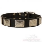 Collare in cuoio con piastre decorative in nichel per cane