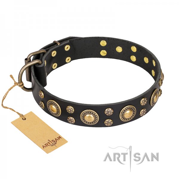 Collare nero "Baroque Chic" FDT Artisan per cane