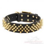Collare con borchie a punta di ottone per cane