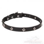 Collare stretto "Cosmic Stars" con piastre cromate per cane