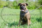 Pettorina in pelle con borchie a piramidi per Boxer