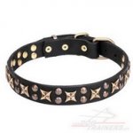 Collare con borchie a stellina "Vintage Legacy" per cane