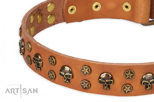 Eccellente collare con decorazioni in ottone per cane