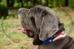 Collare con disegno di bandiera americana per Mastino Napoletano