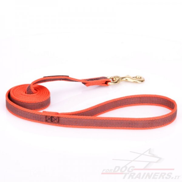 Guinzaglio arancione in nylon gommato per cane forte