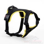 Pettorina in nylon color nero «WALKING DAY»