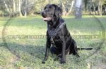 Pettorina in cuoio con borchie a punta per Labrador