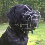 Museruola a cestello per Mastino, Cane Corso e cani simili