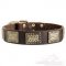 Collare in cuoio con piastre decorative di ottone per cane
