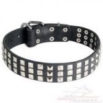 Collare in cuoio con borchie a piramide per cane