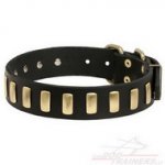 Collare in cuoio con decorazione per cane