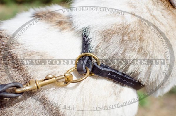 Collare in cuoio a strozzo per cane