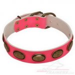 Collare in cuoio rosa con borchie ovali per cane
