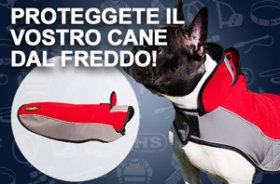 Cappottino per cane