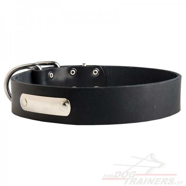 Collare in cuoio con piastra d'identificazione per cane