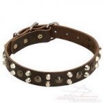 Collare in cuoio con borchie a semisfera