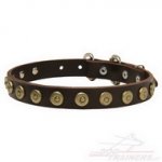 Collare con borchie rotonde effetto bronzo anticato