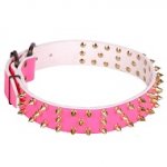Collare in pelle rosa con borchie a punta in ottone