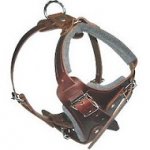 Pettorina marrone in pelle per cane grande, taglia XL