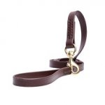 Guinzaglio classico in biothane marrone, 2 cm