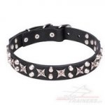 Collare con borchie a stellina "Shining Stars" per cane