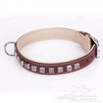 Collare originale con decorazioni per cane