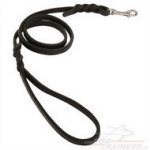 Guinzaglio stretto con maniglia per cane