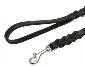 Guinzaglio in cuoio per cani