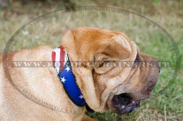 Collare con disegno di bandiera americana per Shar Pei