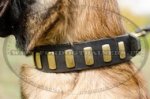 Collare in cuoio con decorazione per Malinois