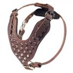 Pettorina marrone con piramidi per cani grandi, taglia L