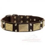 Collare in cuoio con piastre e piramidi rotonde troncate