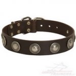 Collare in cuoio con decorazione per cane