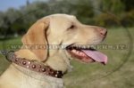 Collare in cuoio con borchie a semisfera e piramidi per Labrador