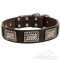 Collare in cuoio con piastre decorative per cane
