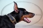 Collare in cuoio per Dobermann