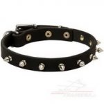 Collare stretto con borchie a punta per cane