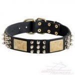 Collare in cuoio con punte, piastre e piramidi per cane