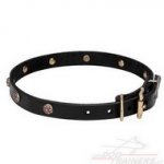 Collare con borchie a fiore in ottone per cane