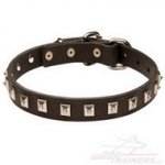 Collare in cuoio con decorazione per cane