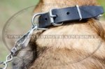 Collare in cuoio con borchie a punta per Malinois