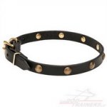 Collare stretto con piastre a sfera in ottone per cane