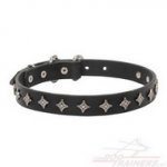 Collare con piastre a stellina per cane