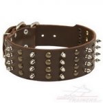 Collare in cuoio con punte nichelate e semisfere