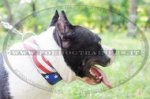 Collare con la bandiera americana dipinta per Amstaff