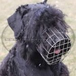 Museruola per Terrier Nero Russo