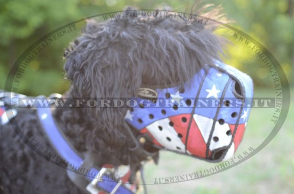 Museruola dipinta "Bandiera americana" per Terrier Nero Russo