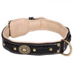 Collare originale in cuoio con fodera nera per cane