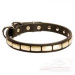 Collare in cuoio con piastre rettangolari per cane